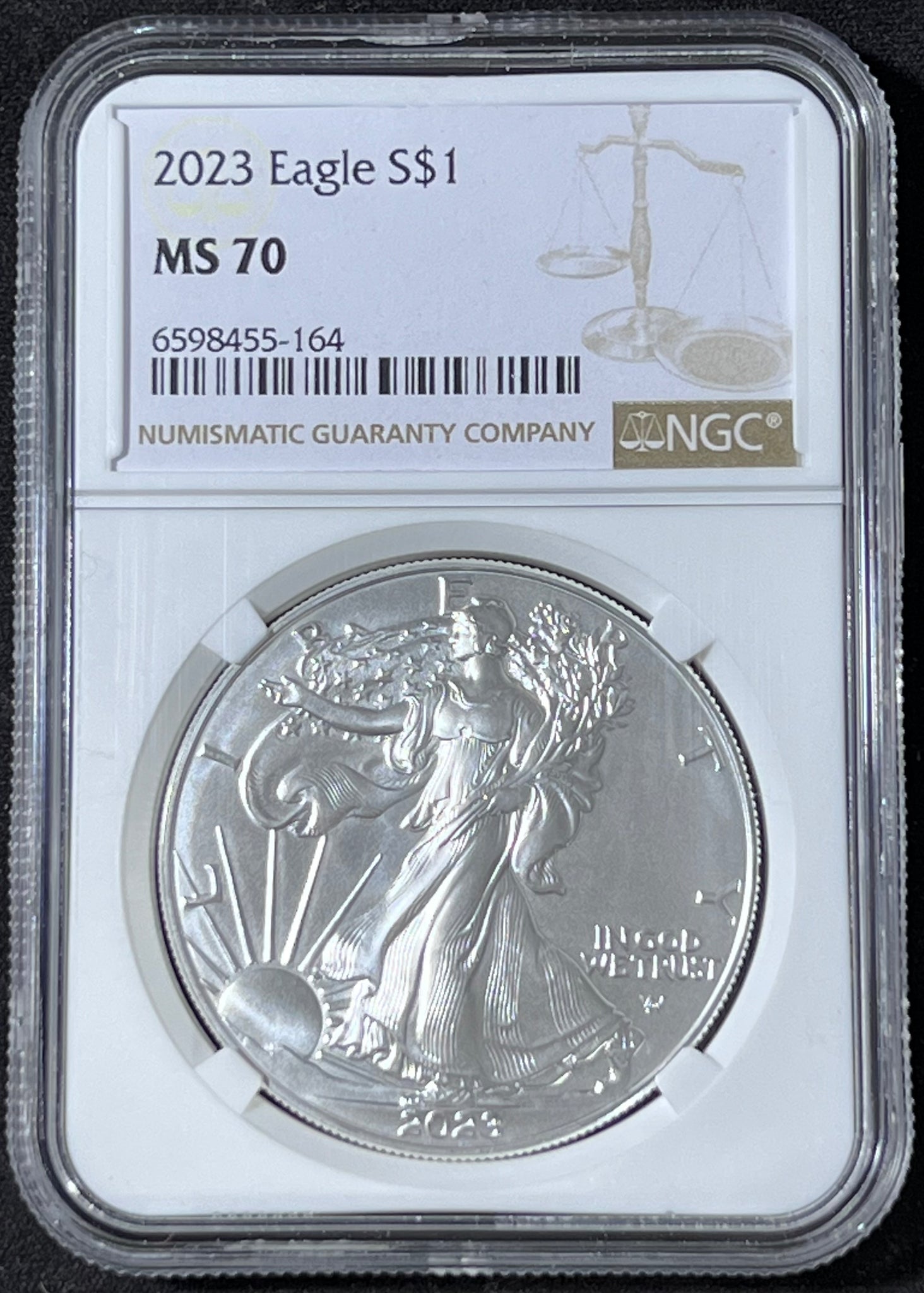 2023 AMERICAN SILVER EAGLE MS 70  **PERFECT COIN** **FREE SHIPPING** Click MORE DETAILS to BIN!!