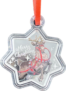 {{{LAST ONE}}} 2019 Perth Minted "Christmas Reindeer" Coin/Christmas Ornament** 1 Oz Silver (Reindeer/Merry Christmas) Coin/Ornament AUCTION AUCTION AUCTION **Shipping Included in Price** {{Bid Starts @ $100}}