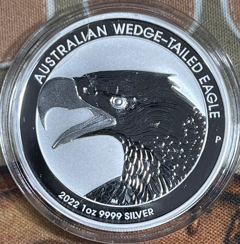 2022 Australian Wedge-Tailed Eagle in Perfect Condition **FREE SHIPPING** CLICK FULL DETAILS TO BID!! Bid starts @ $45