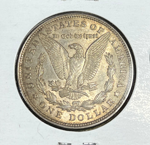 1921 P Golden Rim Toned OBV & Deep GOLDEN Toned REVERSE Morgan Dollar **FREE SHIPPING** Click here to BUY IT NOW!!!