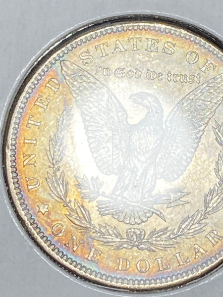 1889 P GOLD RIM TONER MS GRADE RAW MORGAN SILVER DOLLAR **FREE SHIPPING** Buy It Now!