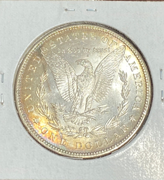 1889 P GOLD RIM TONER MS GRADE RAW MORGAN SILVER DOLLAR **FREE SHIPPING** Buy It Now!