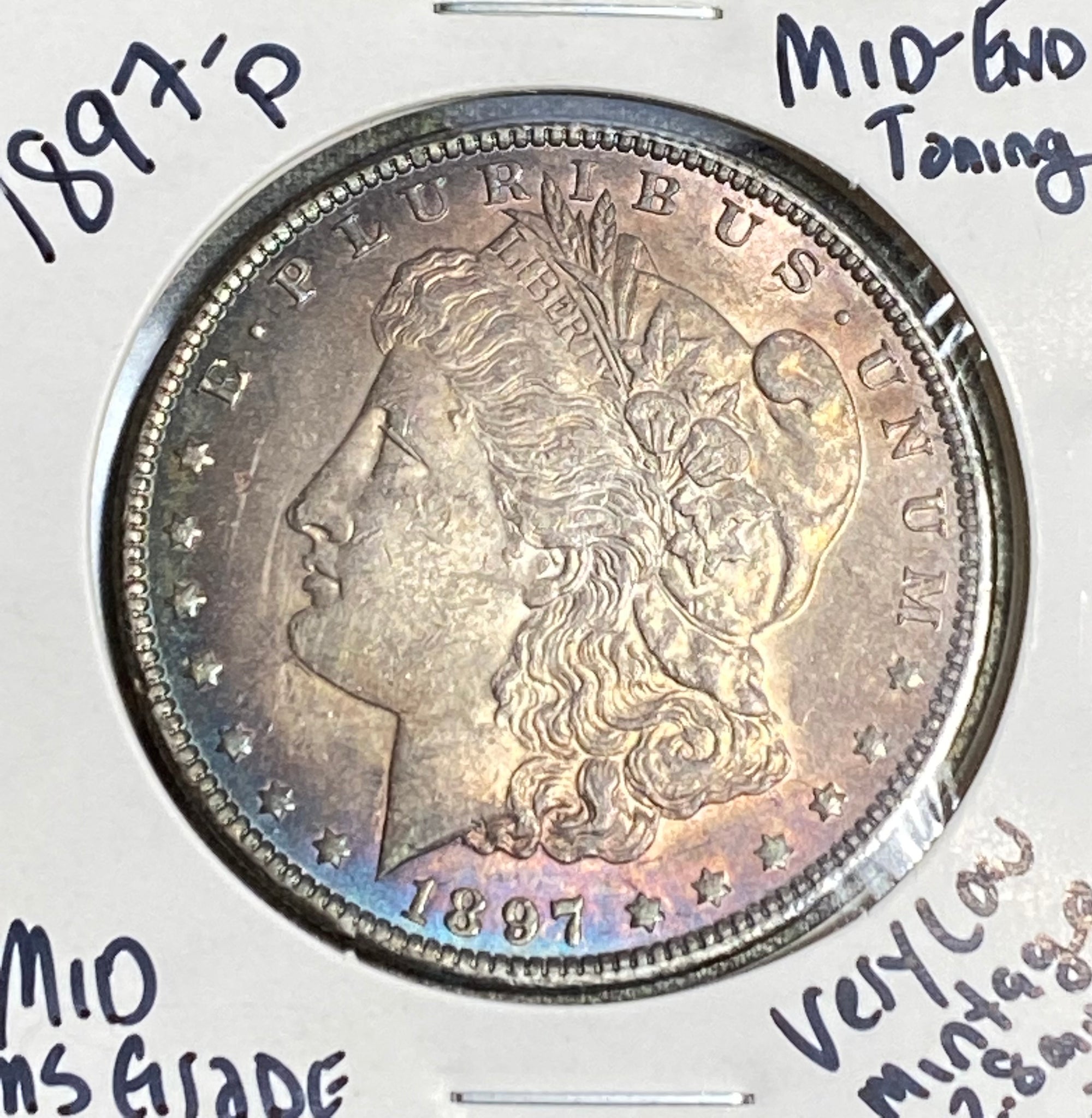 1897 P PINK/BLUE/RED TONED MS GRADE MID END TONED MORGAN **FREE SHIPPING** Buy It Now!